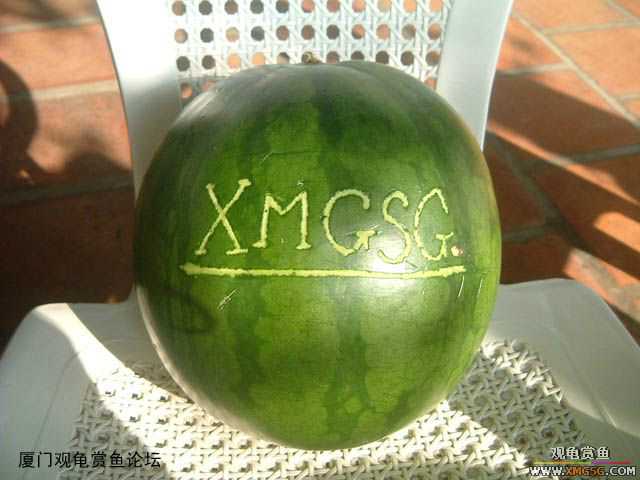 2��4����̳�տ���