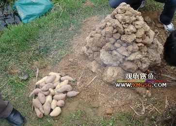 ���&����?