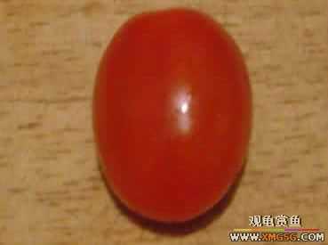 [��ˮ]�����÷�������