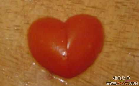 [��ˮ]�����÷�������