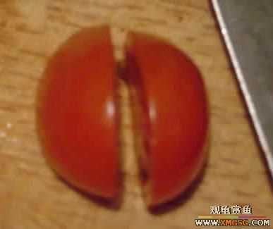 [��ˮ]�����÷�������