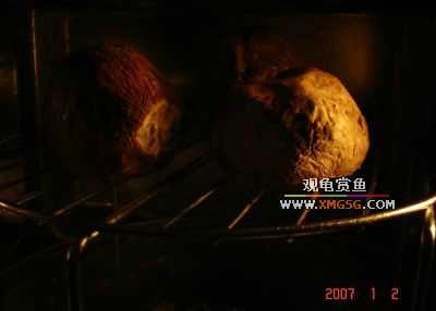 ���&����?