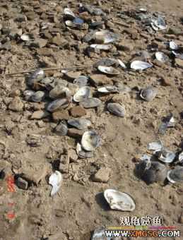 [����]С��"��ְ"ƪ