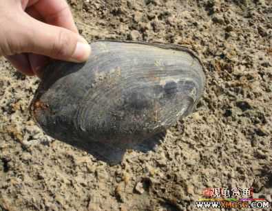 [����]С��"��ְ"ƪ