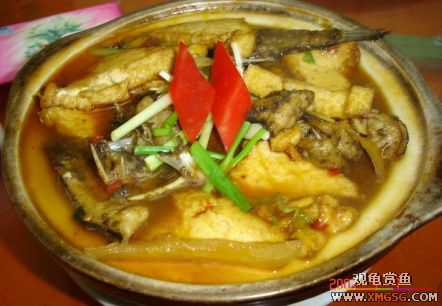 07.01.07����[���ʰ�]