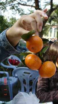 07.01.07����[���ʰ�]