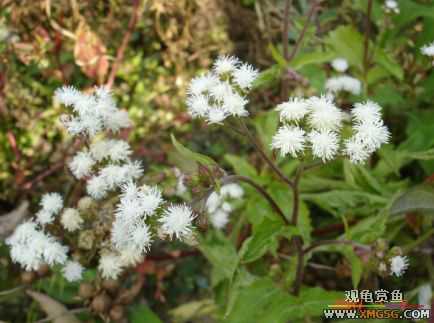 070107��������ƪ