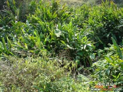 070107��������ƪ