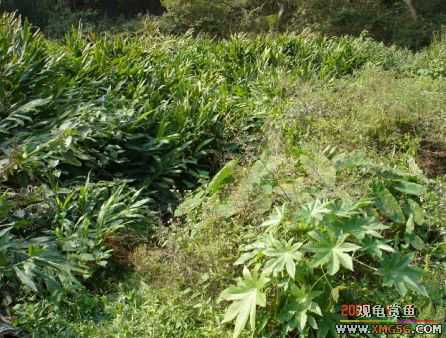 070107��������ƪ