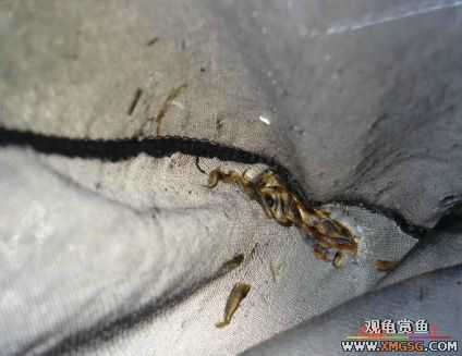 070107��������ƪ