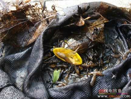 070107��������ƪ