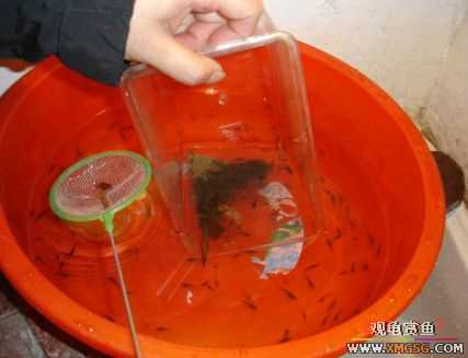 070107��������ƪ