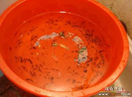 070107��������ƪ