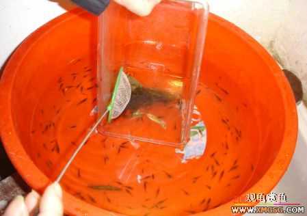 070107��������ƪ