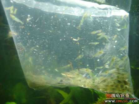 070107��������ƪ