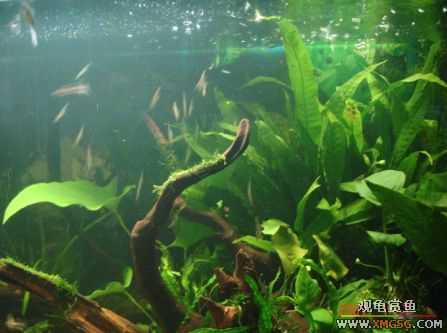 070107��������ƪ