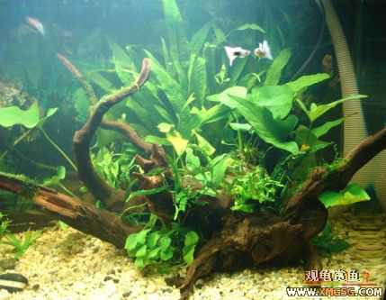 070107��������ƪ