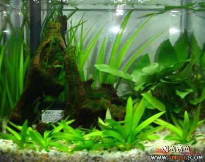 070107��������ƪ