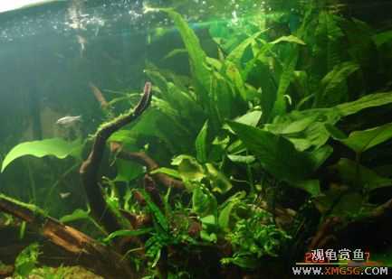 070107��������ƪ