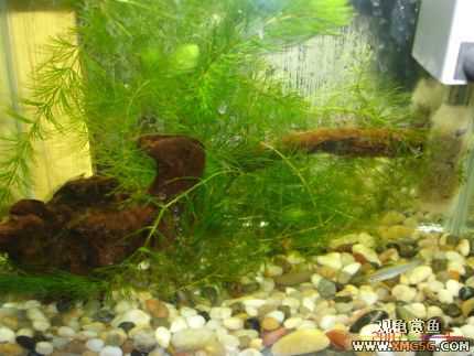 070107��������ƪ