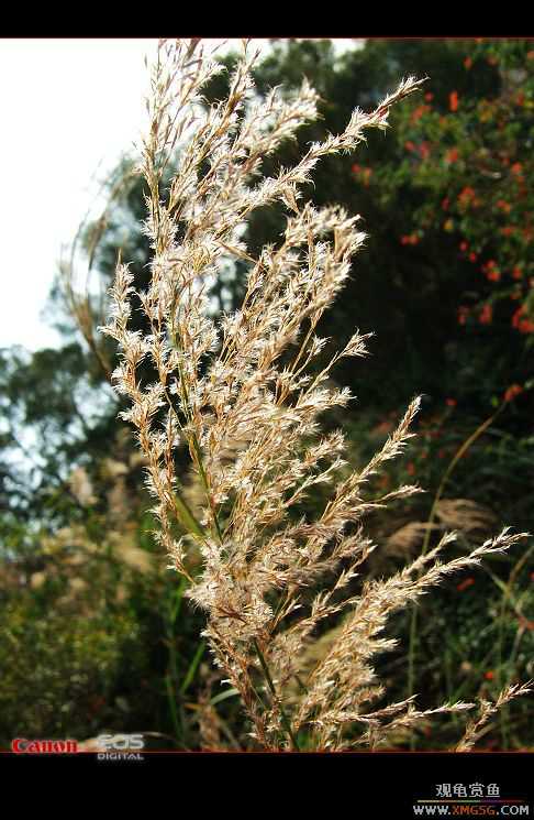 07.01.07����[���ʰ�]