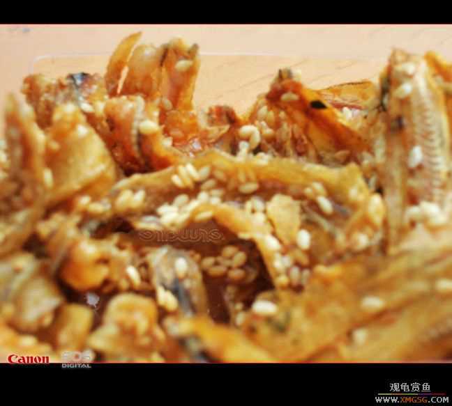 07.01.07����[���ʰ�]