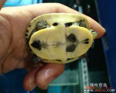 070107��������ƪ