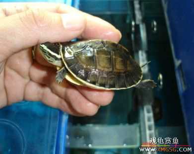 070107��������ƪ