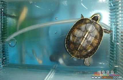 070107��������ƪ