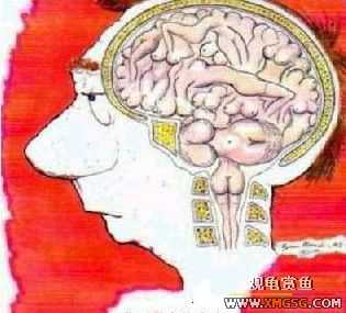 �ҾͲ���Ц��s��