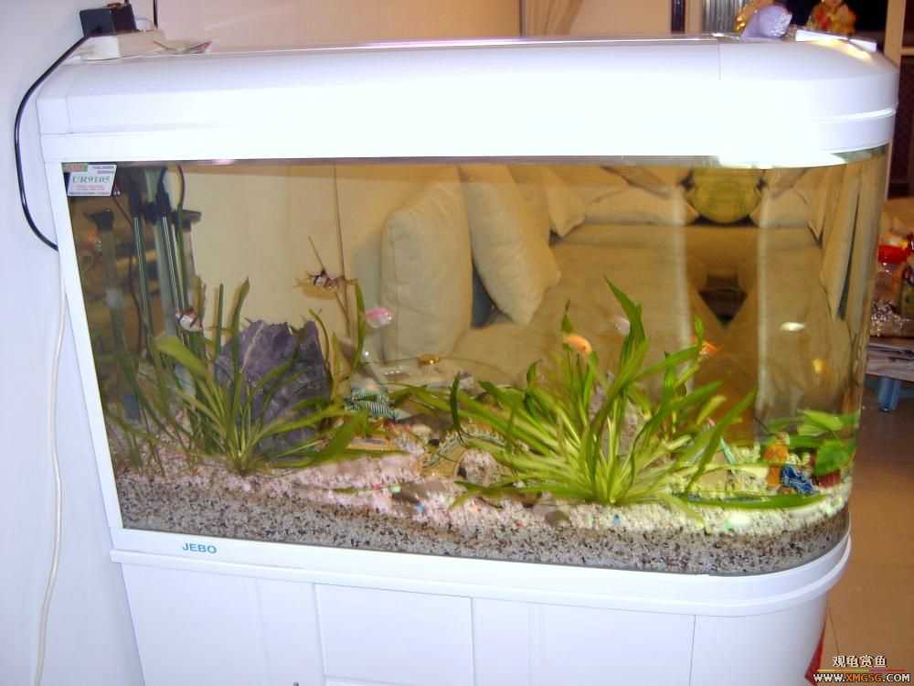 Сɽ�������һ��