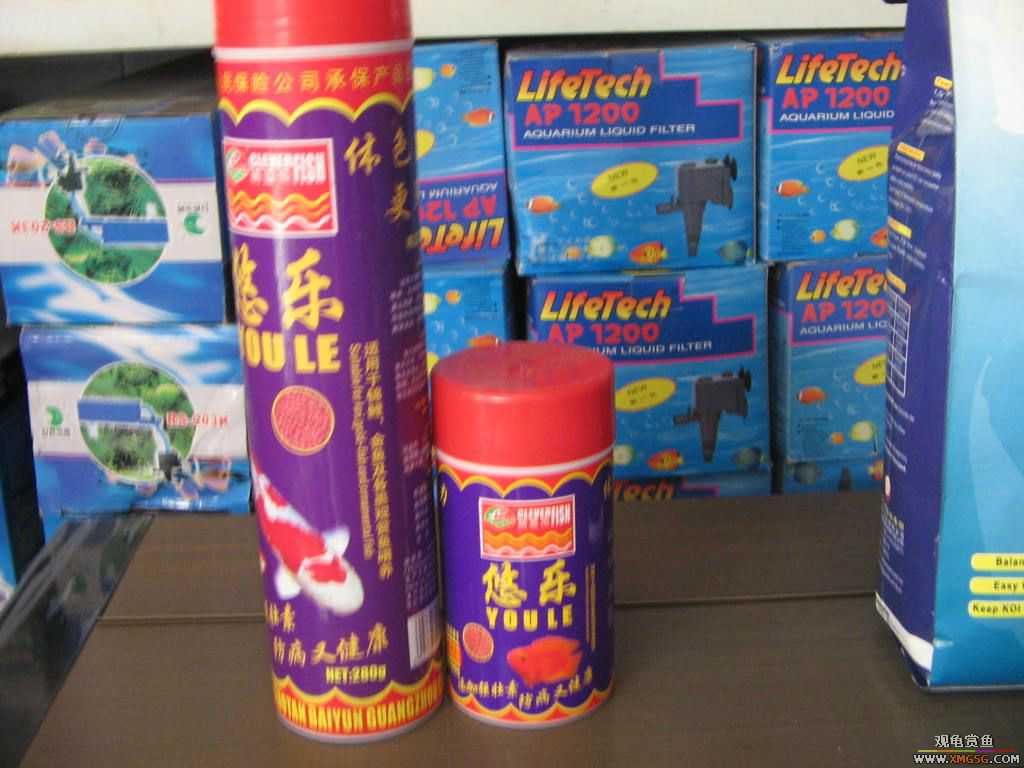 [ԭ��][�̼�]������֮�� ����·