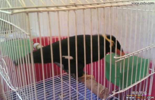 ���������D����(��)..���a..