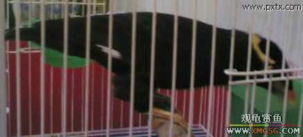 ���������D����(��)..���a..