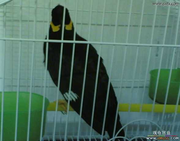 ���������D����(��)..���a..