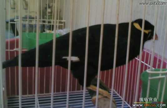 ���������D����(��)..���a..