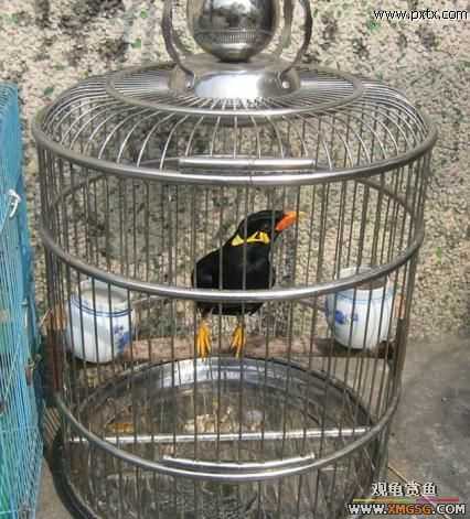 ���������D����(��)..���a..