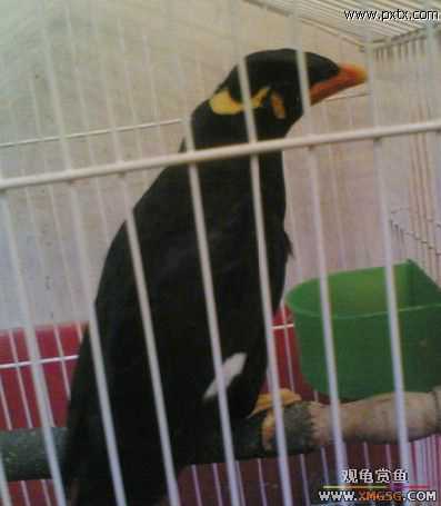 ���������D����(��)..���a..