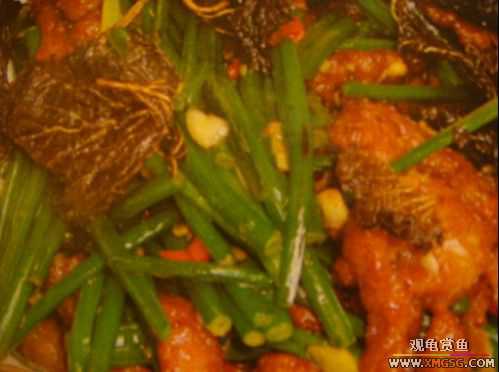 ����˽���ˡ�