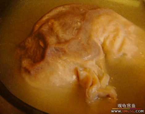 ����˽���ˡ�