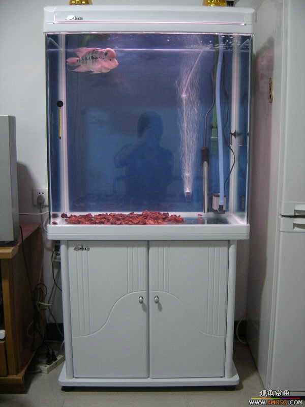 ���ŵ���ת�á���׸ס��