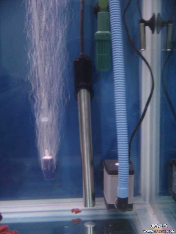 ���ŵ���ת�á���׸ס��