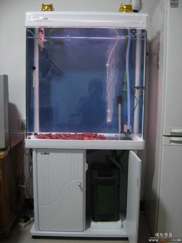 ���ŵ���ת�á���׸ס��