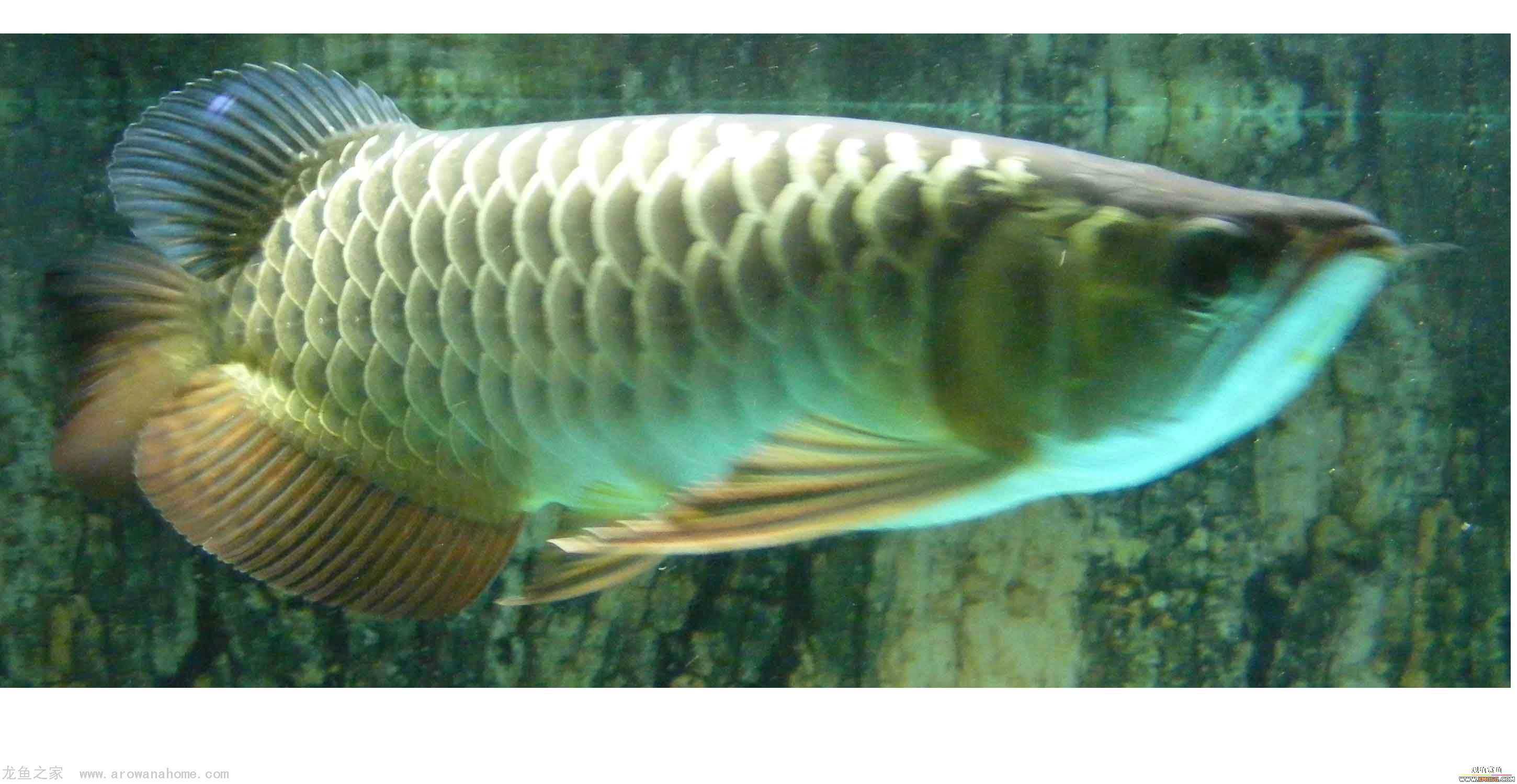 [ԭ��][�̼�]������֮�� ����·