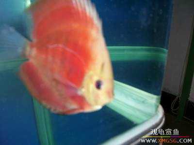 [�Ƽ�]ת�ú츻ʿ�߲�!30Ԫ/����~