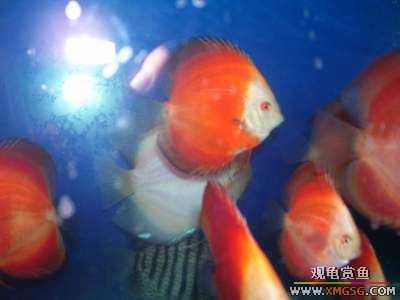 [�Ƽ�]ת�ú츻ʿ�߲�!30Ԫ/����~