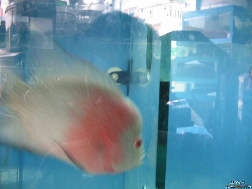 [ԭ��][�̼�]������֮�� ����·