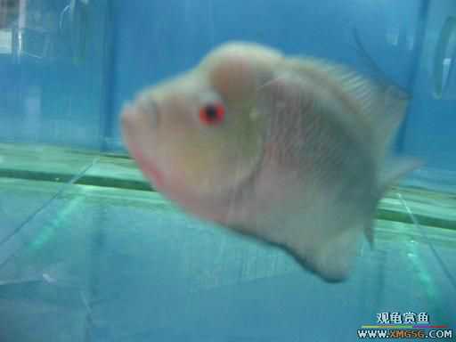 [ԭ��][�̼�]������֮�� ����·