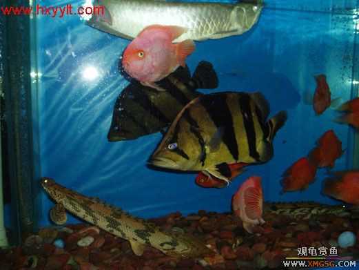 ��������ת��