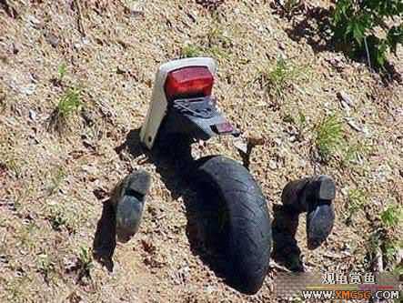 [��ˮ]����Ŵ󳵻���߾���